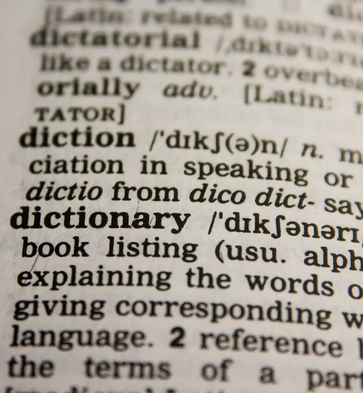 how to prepare a voice over script: close up of dictionary text